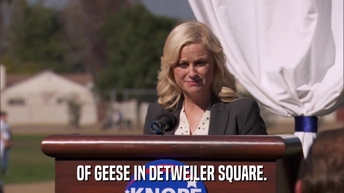 OF GEESE IN DETWEILER SQUARE.  