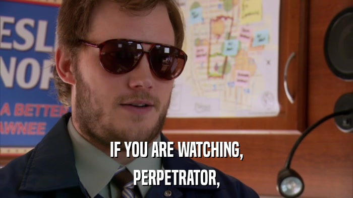 IF YOU ARE WATCHING, PERPETRATOR, 