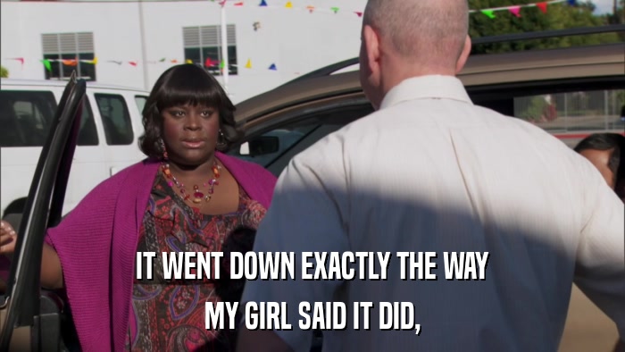 IT WENT DOWN EXACTLY THE WAY MY GIRL SAID IT DID, 