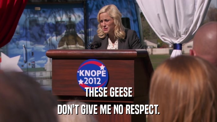 THESE GEESE DON'T GIVE ME NO RESPECT. 