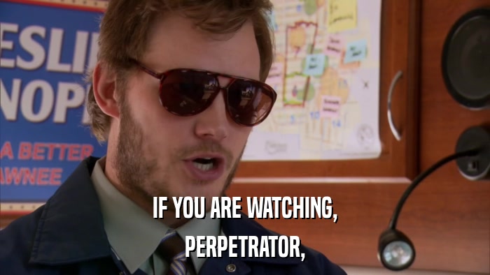 IF YOU ARE WATCHING, PERPETRATOR, 