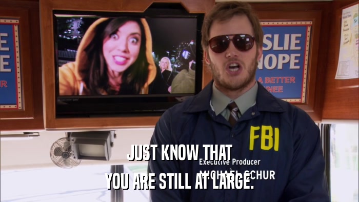 JUST KNOW THAT YOU ARE STILL AT LARGE. 