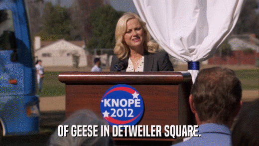 OF GEESE IN DETWEILER SQUARE.  