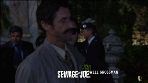 SEWAGE JOE.  