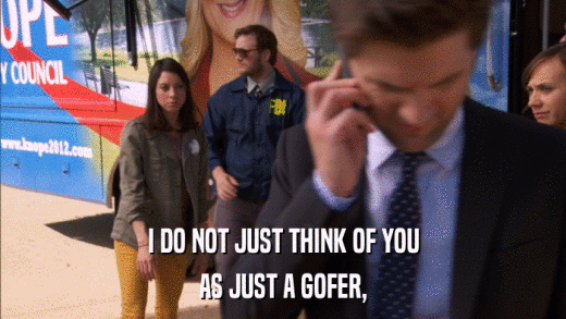 I DO NOT JUST THINK OF YOU AS JUST A GOFER, 