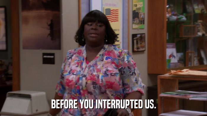 BEFORE YOU INTERRUPTED US.  