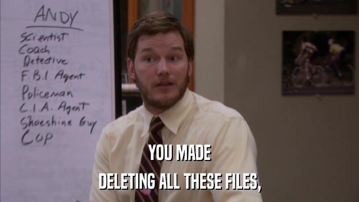 YOU MADE DELETING ALL THESE FILES, 