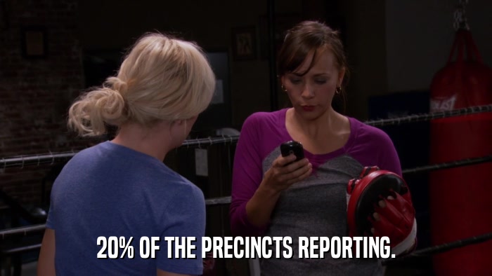 20% OF THE PRECINCTS REPORTING.  