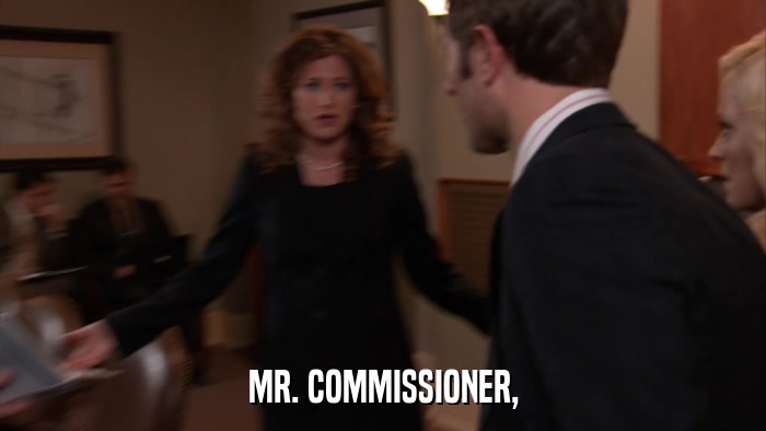 MR. COMMISSIONER,  