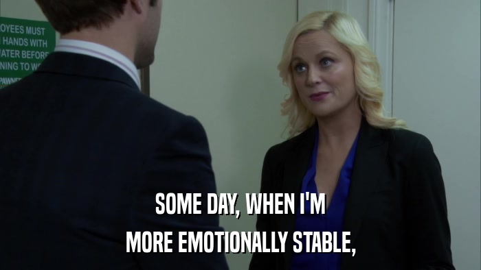 SOME DAY, WHEN I'M MORE EMOTIONALLY STABLE, 