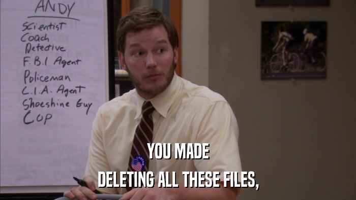 YOU MADE DELETING ALL THESE FILES, 