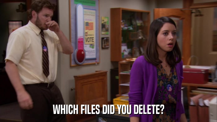 WHICH FILES DID YOU DELETE?  