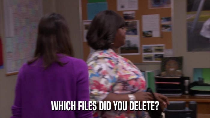 WHICH FILES DID YOU DELETE?  