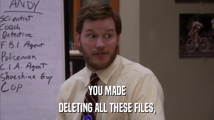 YOU MADE DELETING ALL THESE FILES, 