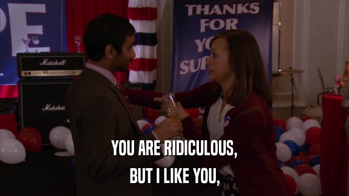 YOU ARE RIDICULOUS, BUT I LIKE YOU, 