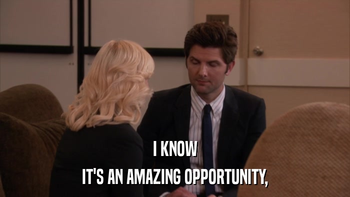 I KNOW IT'S AN AMAZING OPPORTUNITY, 