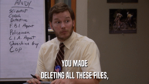 YOU MADE DELETING ALL THESE FILES, 