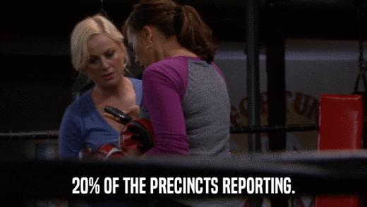 20% OF THE PRECINCTS REPORTING.  