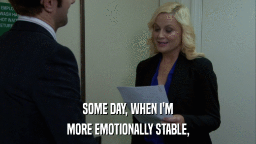 SOME DAY, WHEN I'M MORE EMOTIONALLY STABLE, 
