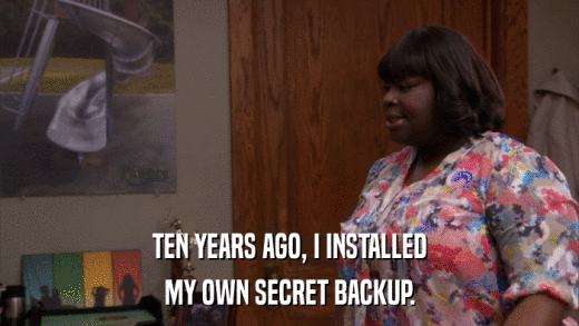 TEN YEARS AGO, I INSTALLED MY OWN SECRET BACKUP. 