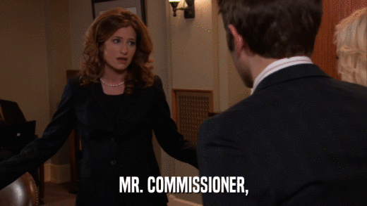 MR. COMMISSIONER,  