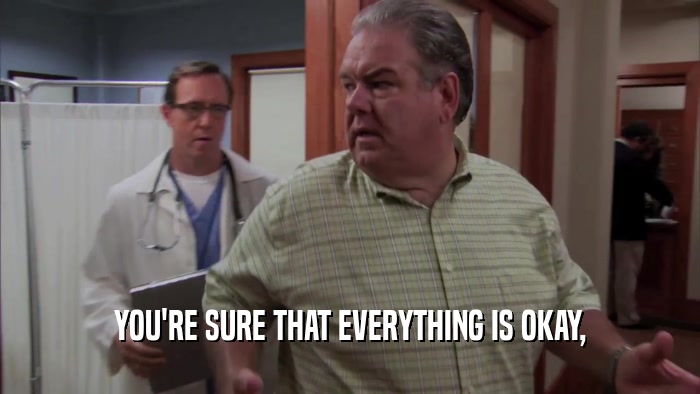 YOU'RE SURE THAT EVERYTHING IS OKAY,  