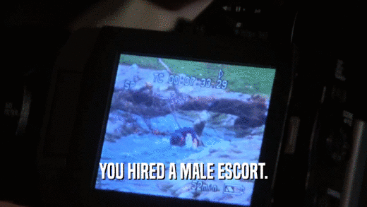YOU HIRED A MALE ESCORT.  