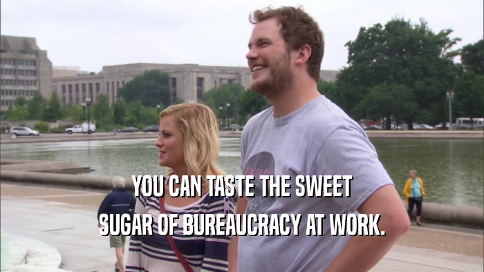 YOU CAN TASTE THE SWEET SUGAR OF BUREAUCRACY AT WORK. 