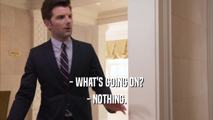 - WHAT'S GOING ON? - NOTHING. 