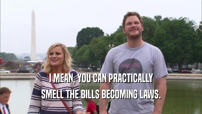 I MEAN, YOU CAN PRACTICALLY SMELL THE BILLS BECOMING LAWS. 