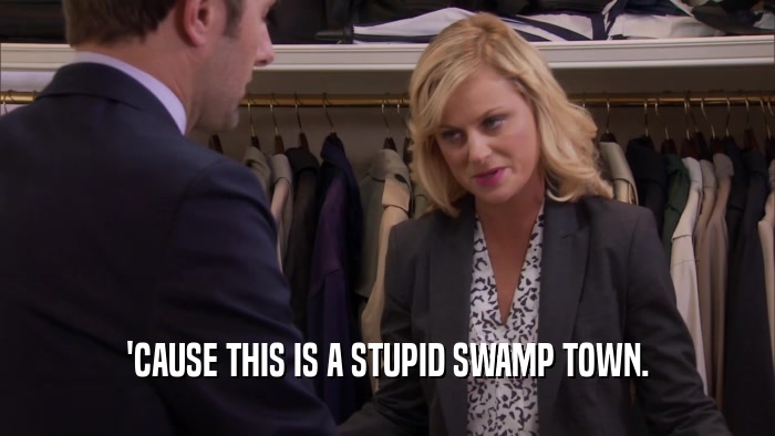 'CAUSE THIS IS A STUPID SWAMP TOWN.  