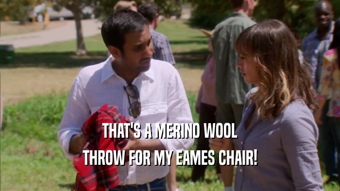 THAT'S A MERINO WOOL THROW FOR MY EAMES CHAIR! 