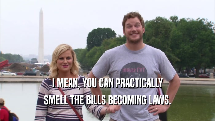 I MEAN, YOU CAN PRACTICALLY SMELL THE BILLS BECOMING LAWS. 
