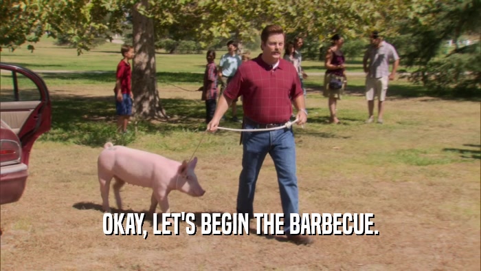 OKAY, LET'S BEGIN THE BARBECUE.  