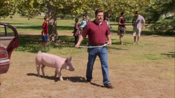 OKAY, LET'S BEGIN THE BARBECUE.  