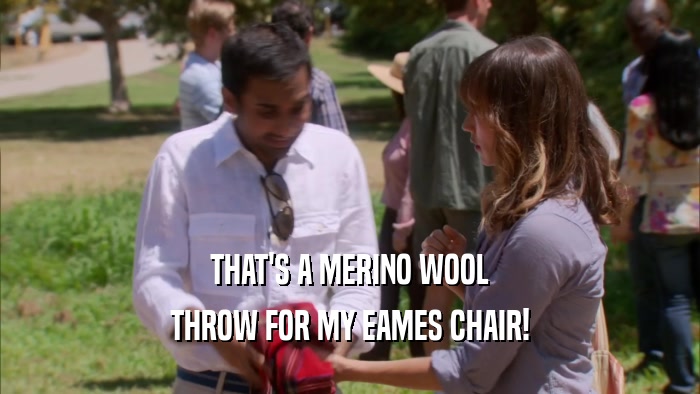 THAT'S A MERINO WOOL THROW FOR MY EAMES CHAIR! 