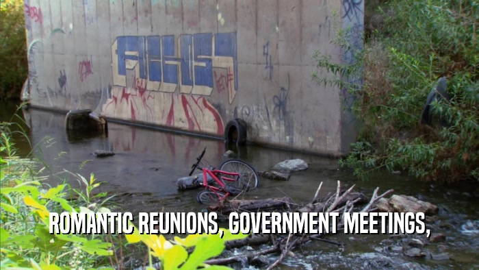 ROMANTIC REUNIONS, GOVERNMENT MEETINGS,  