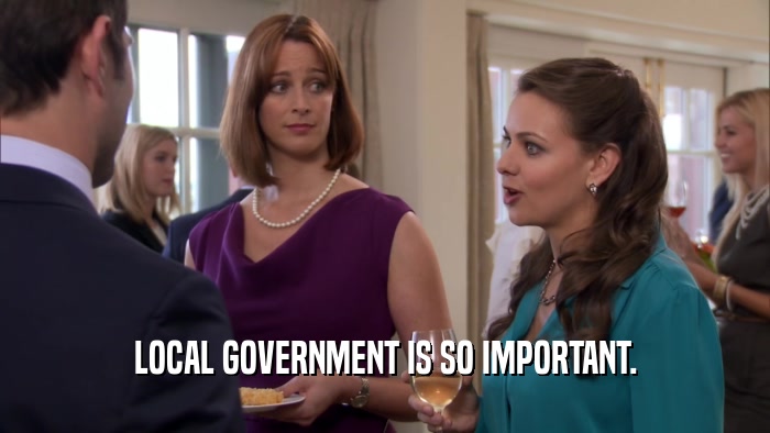 LOCAL GOVERNMENT IS SO IMPORTANT.  