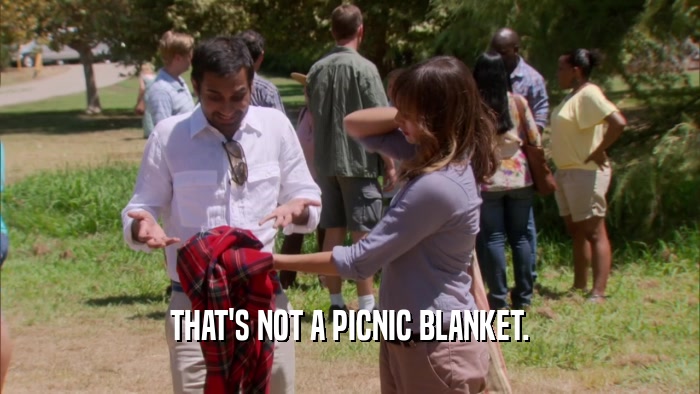 THAT'S NOT A PICNIC BLANKET.  