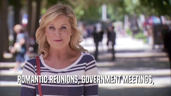 ROMANTIC REUNIONS, GOVERNMENT MEETINGS,  