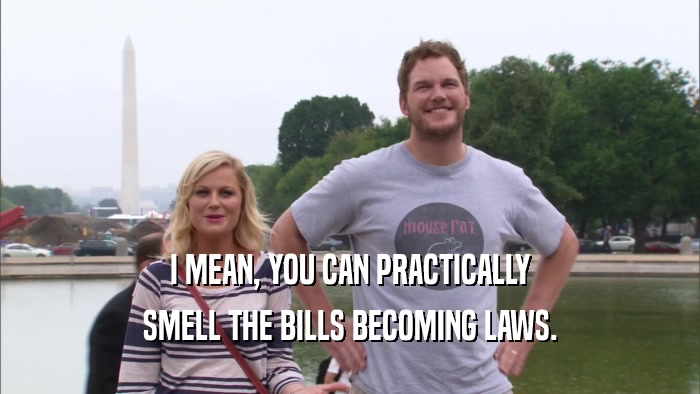 I MEAN, YOU CAN PRACTICALLY SMELL THE BILLS BECOMING LAWS. 
