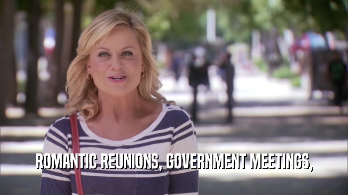 ROMANTIC REUNIONS, GOVERNMENT MEETINGS,  