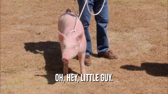 OH, HEY, LITTLE GUY.  