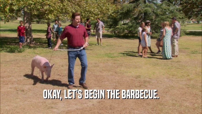OKAY, LET'S BEGIN THE BARBECUE.  