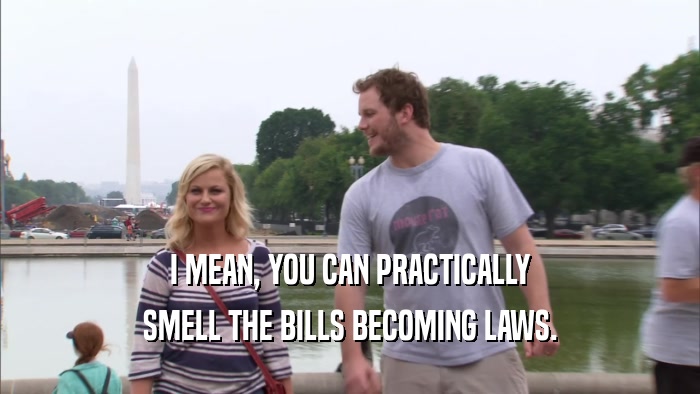 I MEAN, YOU CAN PRACTICALLY SMELL THE BILLS BECOMING LAWS. 