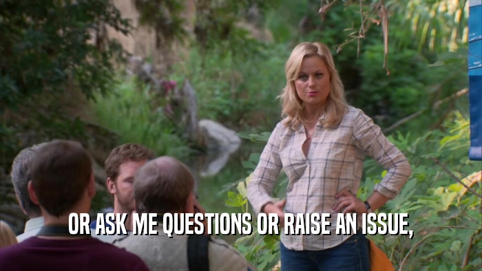OR ASK ME QUESTIONS OR RAISE AN ISSUE,  