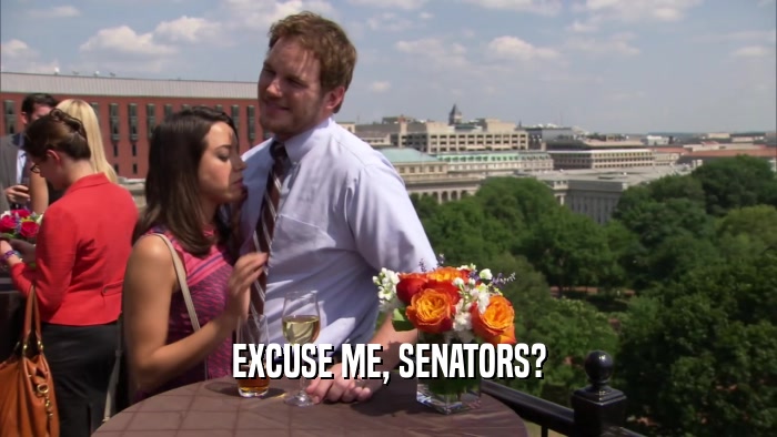 EXCUSE ME, SENATORS?  