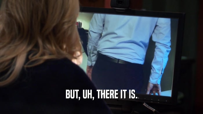 BUT, UH, THERE IT IS.  