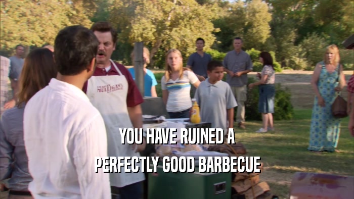 YOU HAVE RUINED A PERFECTLY GOOD BARBECUE 