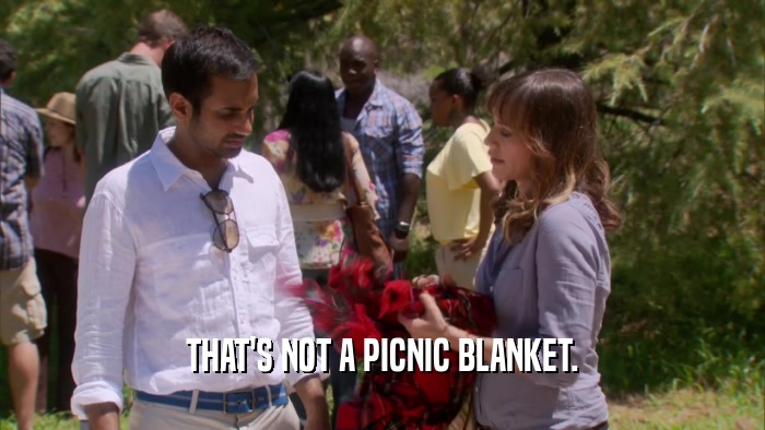 THAT'S NOT A PICNIC BLANKET.  